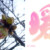 暖