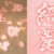 綺麗