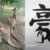 豪