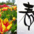 春2