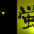 蛍